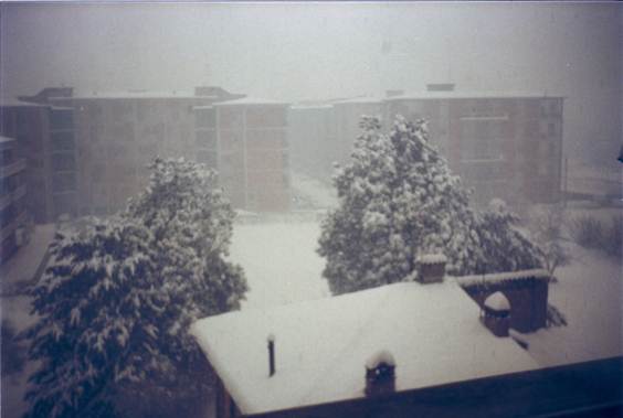 nevicata 16 gennaio 19850002.jpg