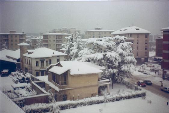 nevicata 16 gennaio 19850003.jpg